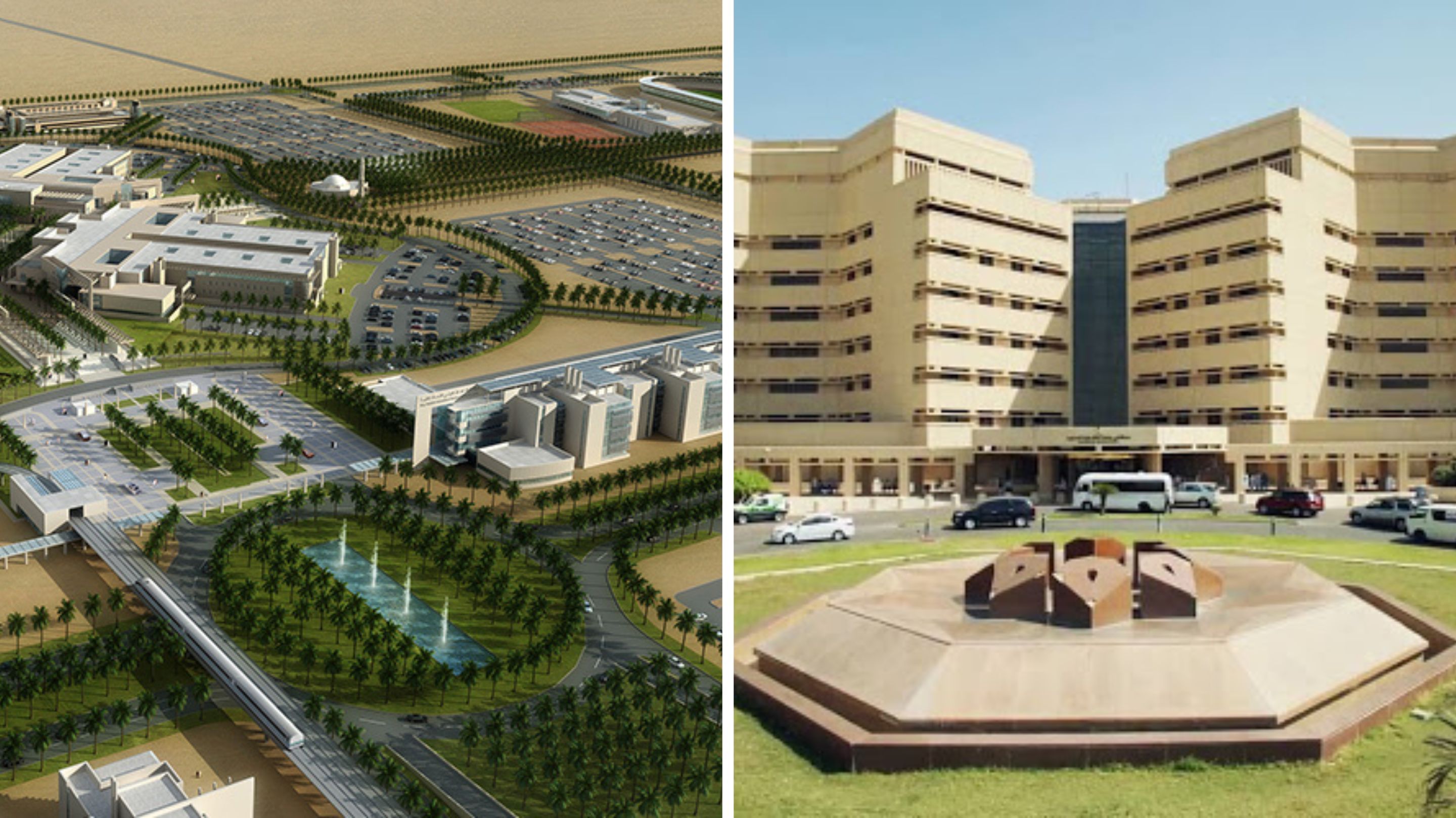 من هي الدولة التي تنتزع الصدارة؟ أفضل 10 جامعات عربية لعام 2023