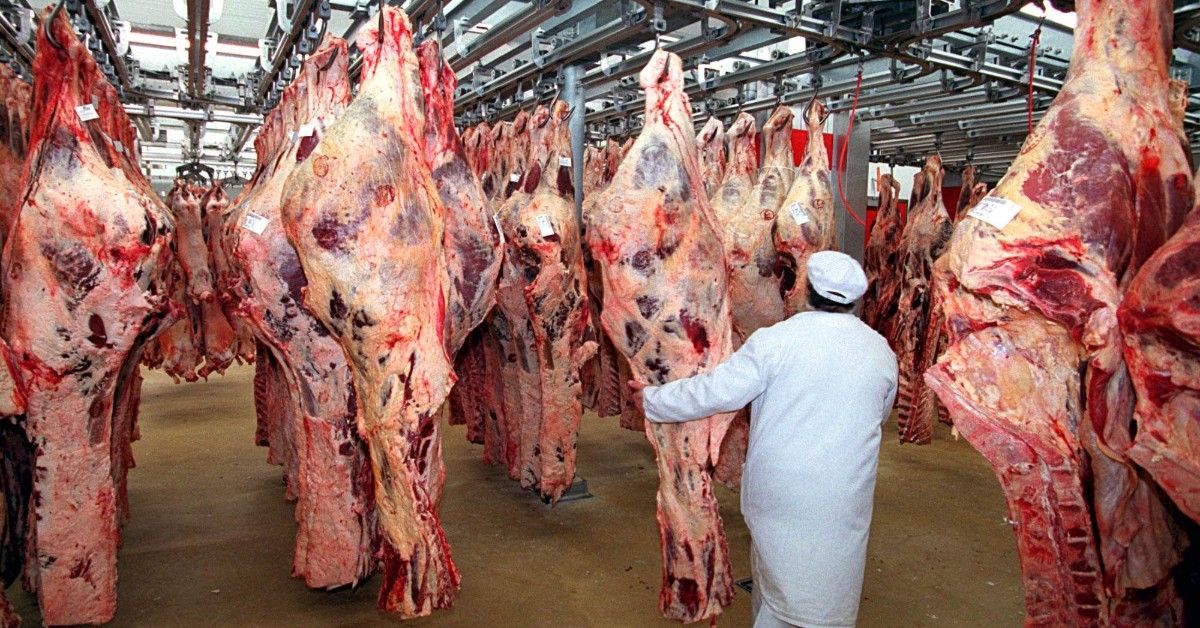 تقرير: مسالخ في السويد تفتقر لمعايير النظافة وسلامة الغذاء