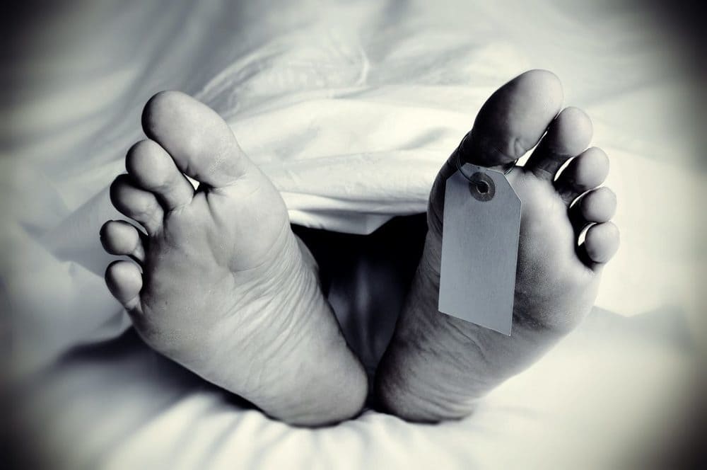 أسخى الشعوب في التبرع بأعضائها بعد الموت