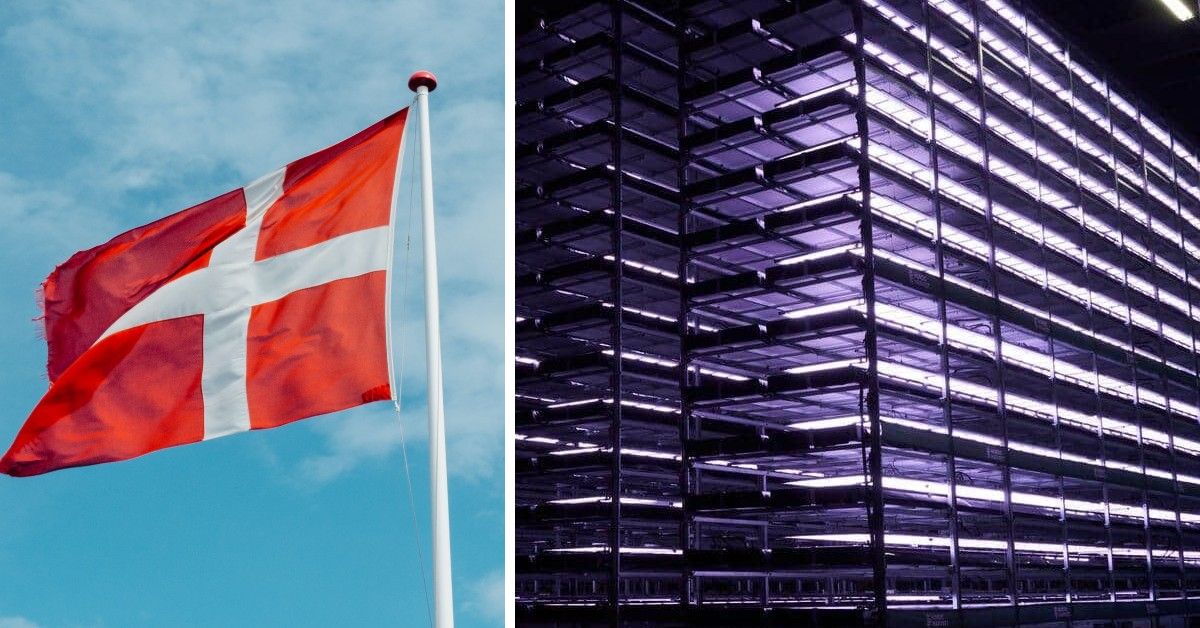 فيديو: افتتاح "مزرعة المستقبل" ذات الـ14 طابقاً في الدنمارك
