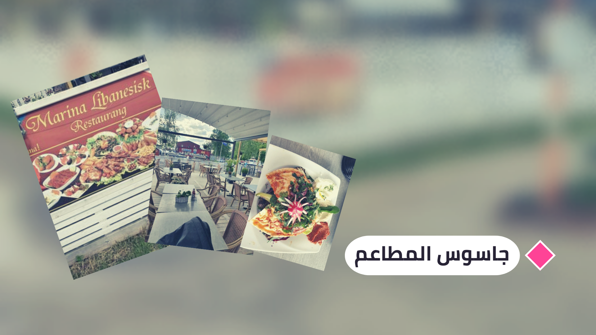 بين نيشوبينغ وستوكهولم: جاسوس المطاعم يمنح مطعم مارينا (7.57) نقطة