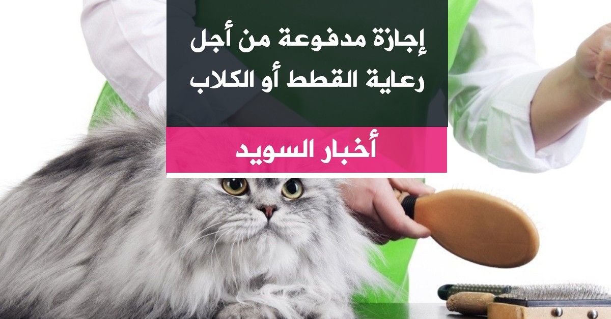 إجازة مدفوعة من أجل رعاية القطط أو الكلاب