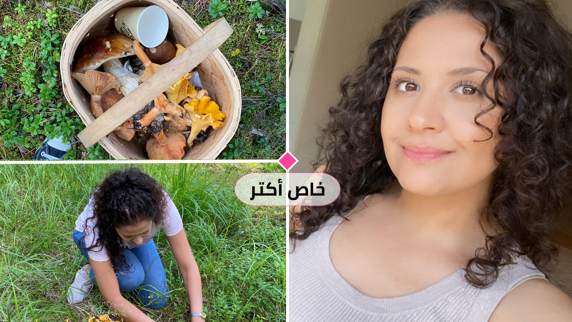 8 نصائح من حنين يمكنك بعدها التنزه في الغابة وجمع الفطر بأمان