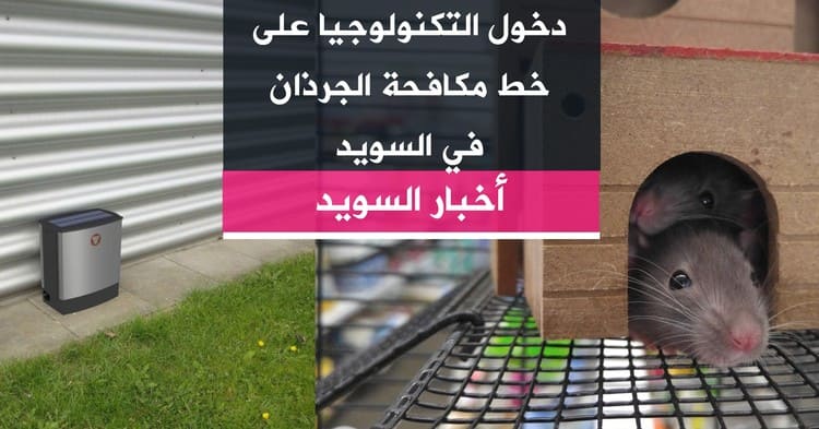 دخول التكنولوجيا على خط مكافحة الجرذان في السويد